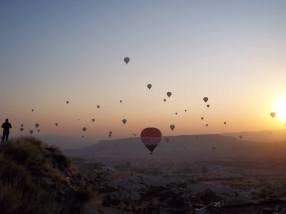 11873373_10153518859575140_6553616981571175079_n