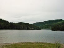 DSCF4326