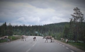 DSCF4524_MATH-63343DT_1